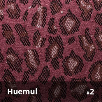 Huemul 2